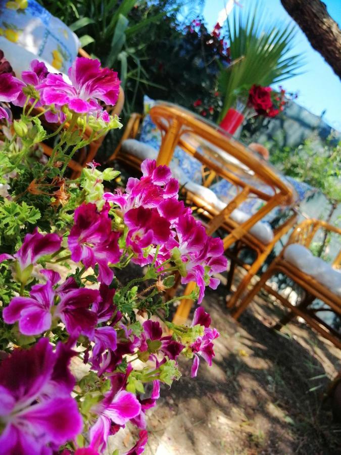 Lumie Di Sicilia Bed & Breakfast Porto Empedocle Bagian luar foto